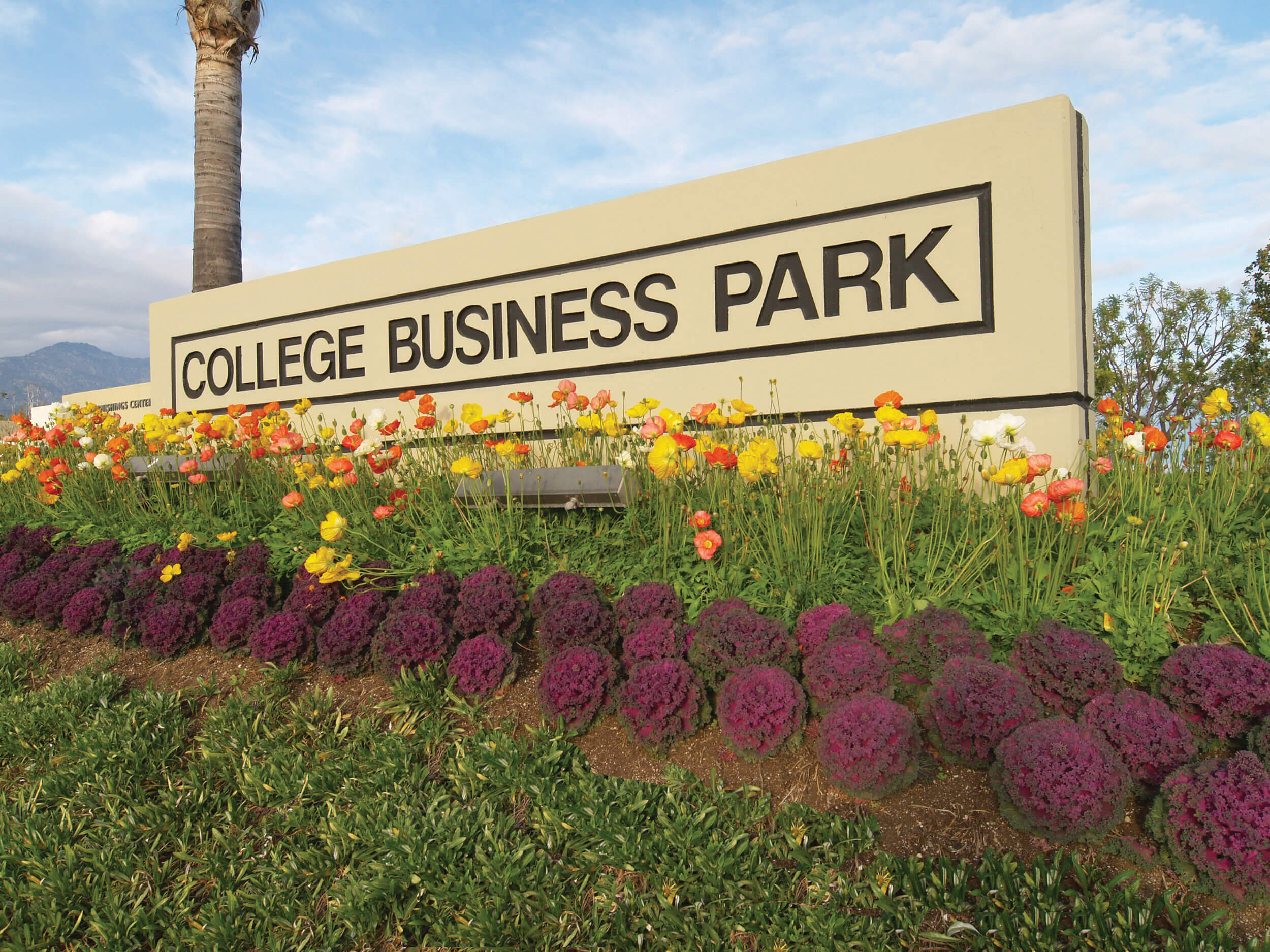 College Business Park CIP Real Estate